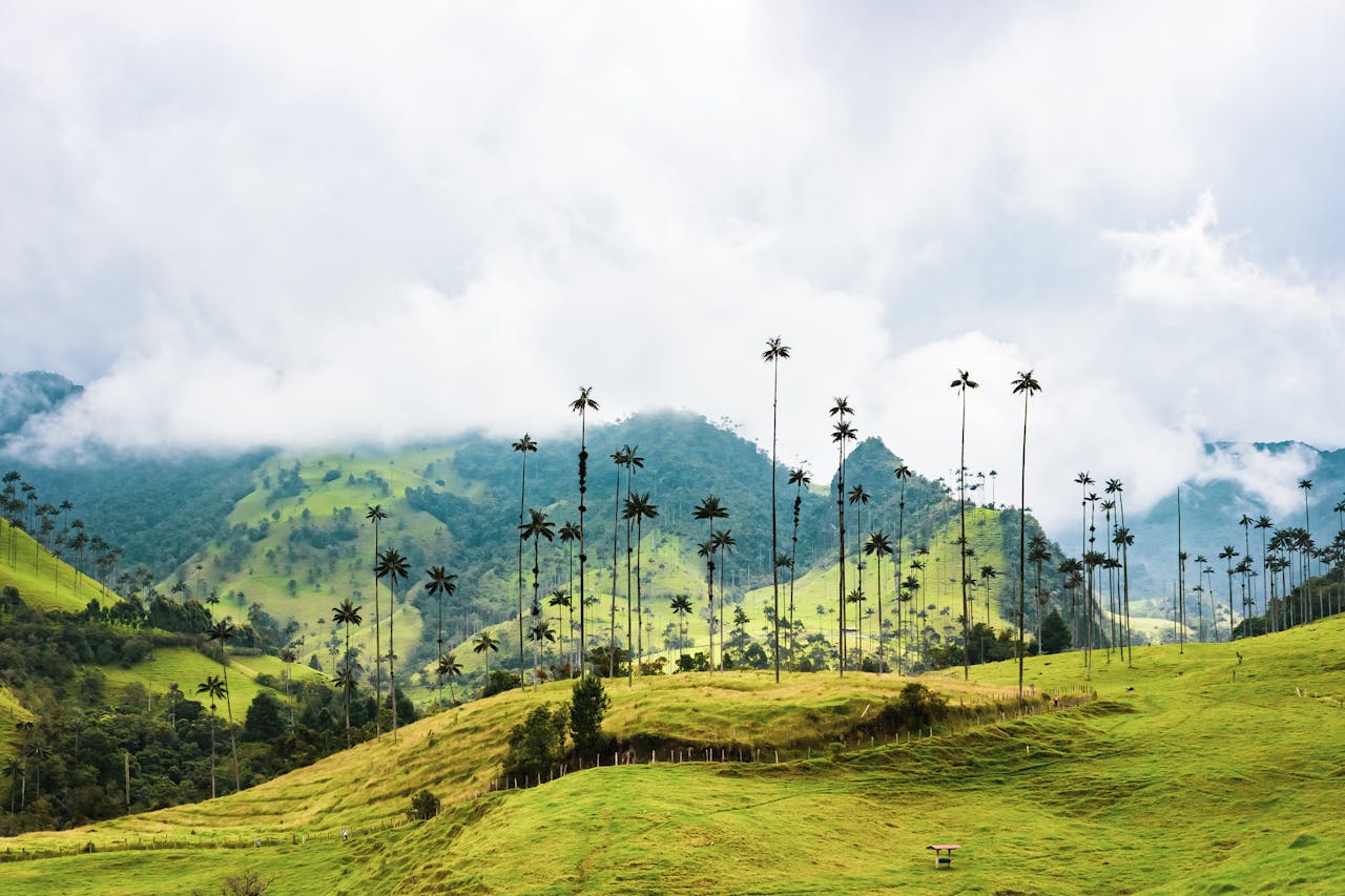 Visit in Colombia: Discover South America’s Hidden Gem